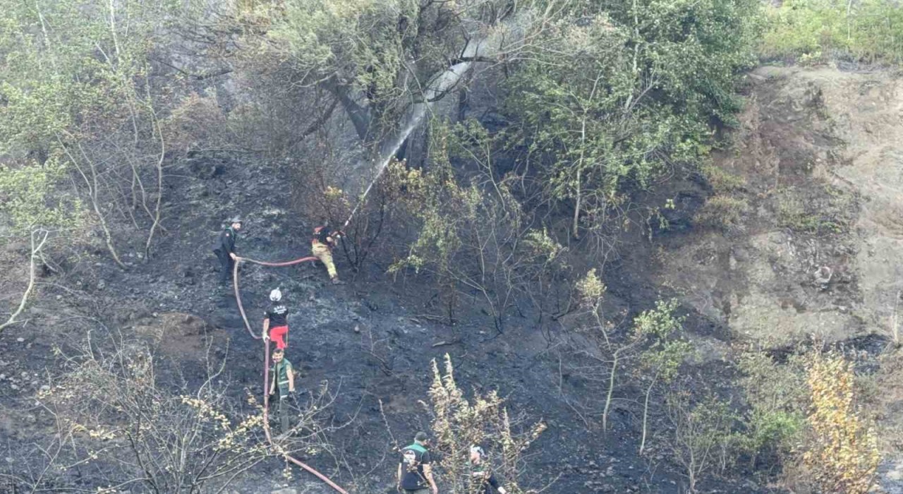 Düzce-Sakarya sınırındaki orman yangını kontrol altına alındı