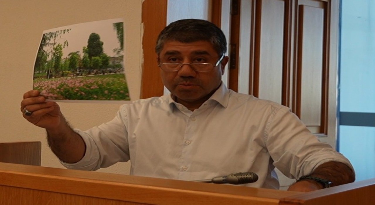 Düzcede kişi başına 29 metrekare yeşil alan düşüyor