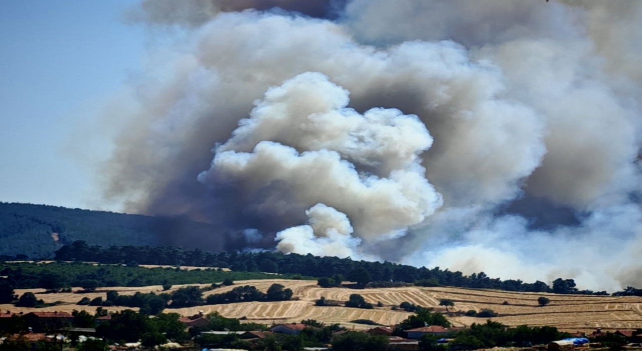 Edirne Keşanda orman yangını