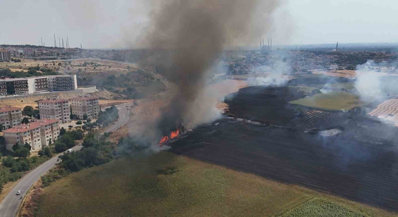 Edirnede anız yangını yerleşim bölgesine metreler kala söndürüldü