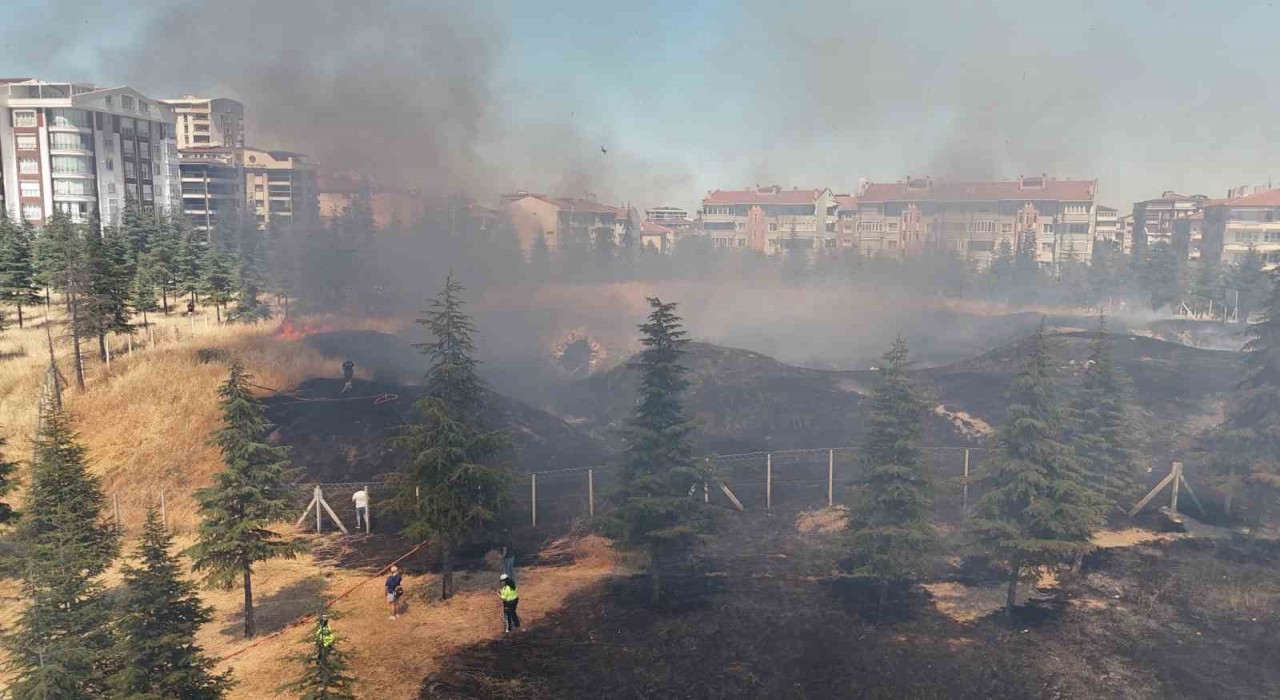 Edirnede çıkan yangın tarihi tabyaya zarar verdi