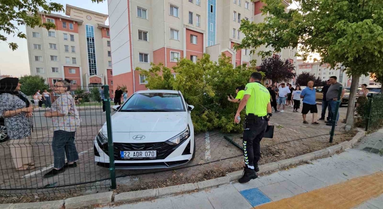 Edirnede seyir halindeki ticari araç site bahçesine girdi