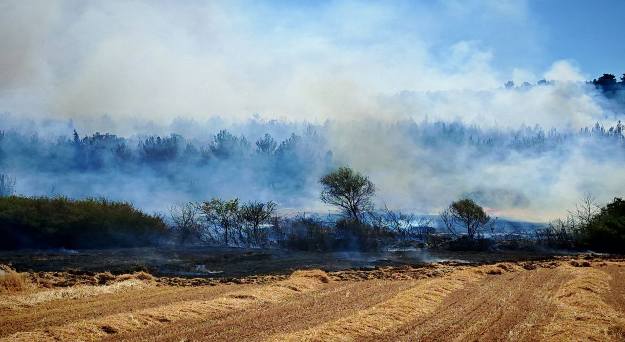 Edirnedeki orman ve anız yangını kontrol altına alındı