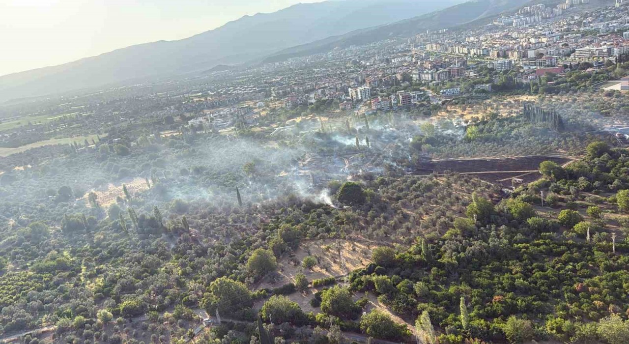 Edremitte tarım arazisinde çıkan yangın korkuttu