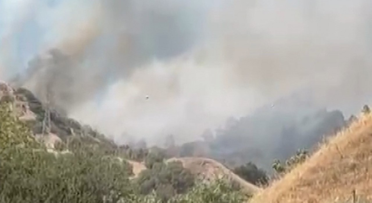 Efelerde zirai alan yangını