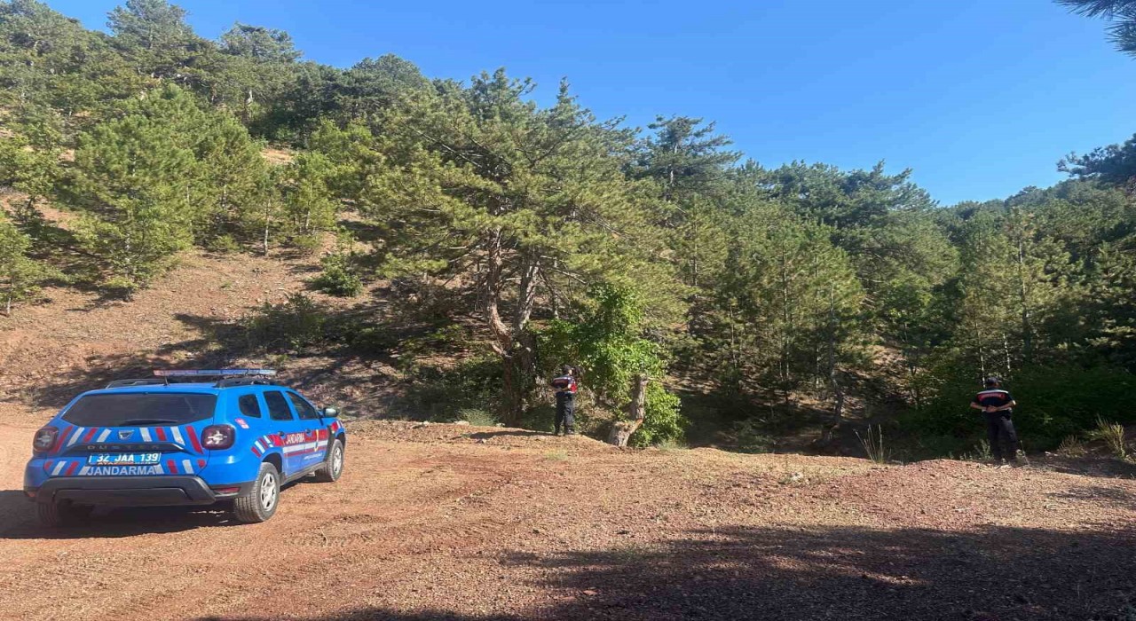 Eğirdirde ormanlık alanlarda sıkı denetim