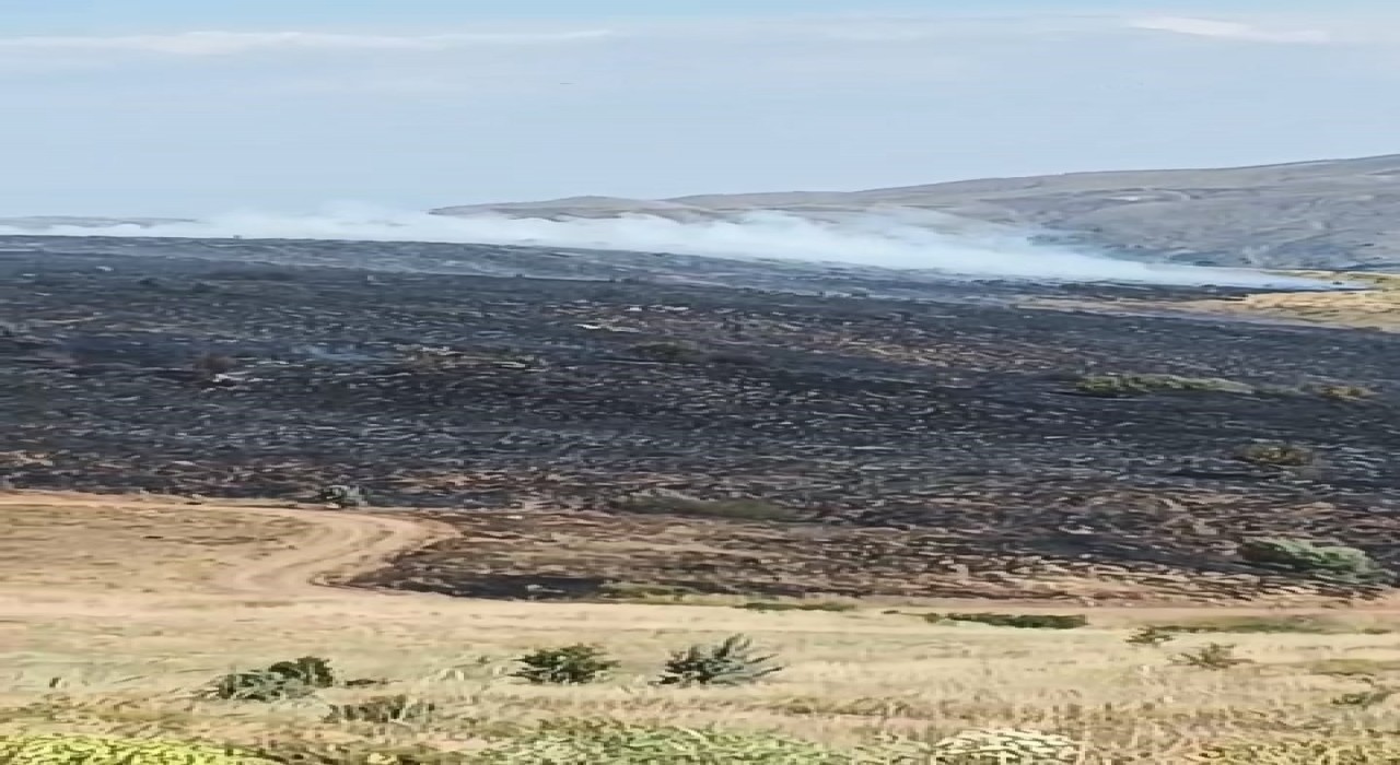 Elazığda arazi yangını