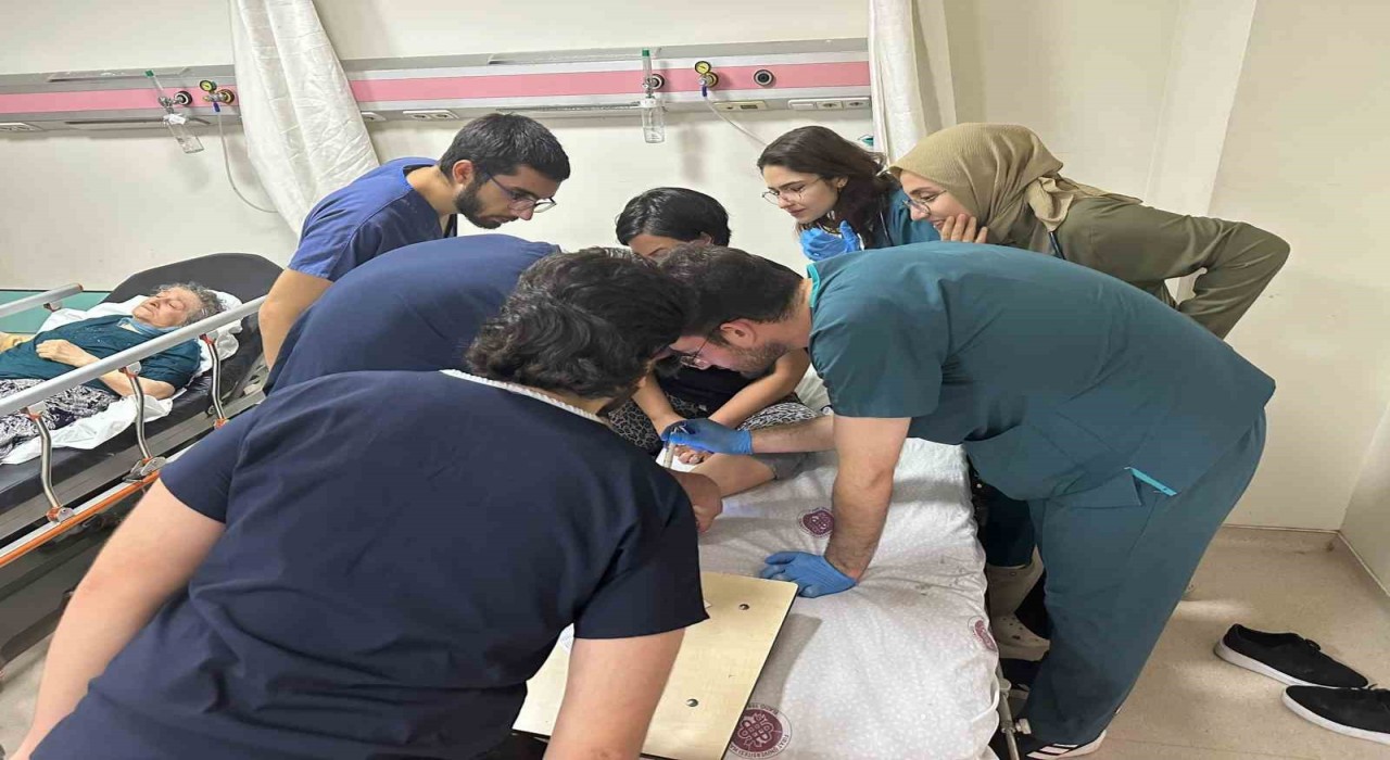 Elazığda bir kene vakası daha