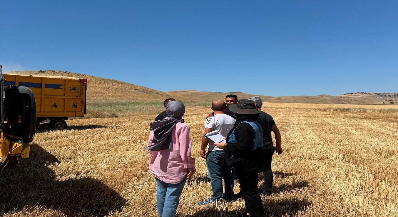 Elazığda hasat ve biçerdöver denetimleri sürüyor