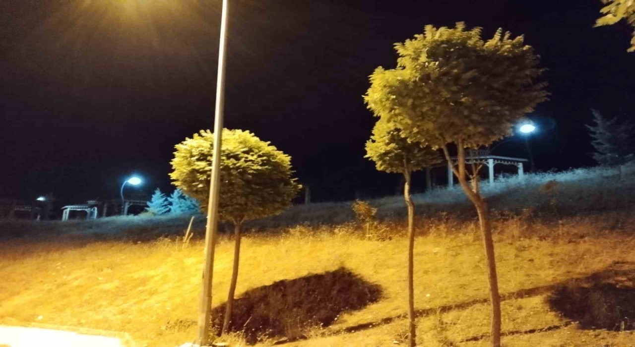 Elazığda kuvvetli rüzgar etkili oldu