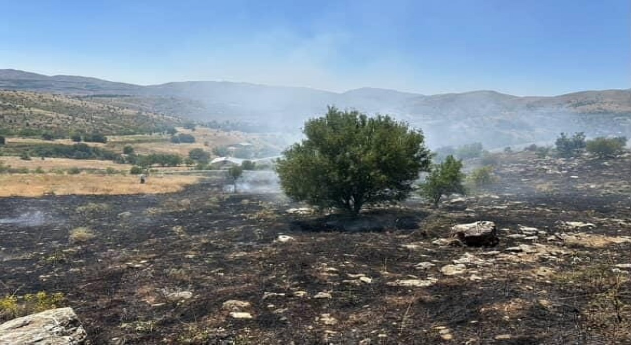 Elazığda otluk alanda çıkan yangın söndürüldü