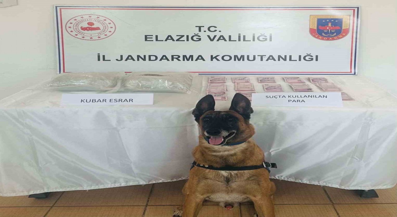 Elazığda uyuşturucuyla mücadele