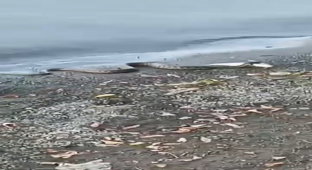 Elazığda yılanın balık avı kamerada