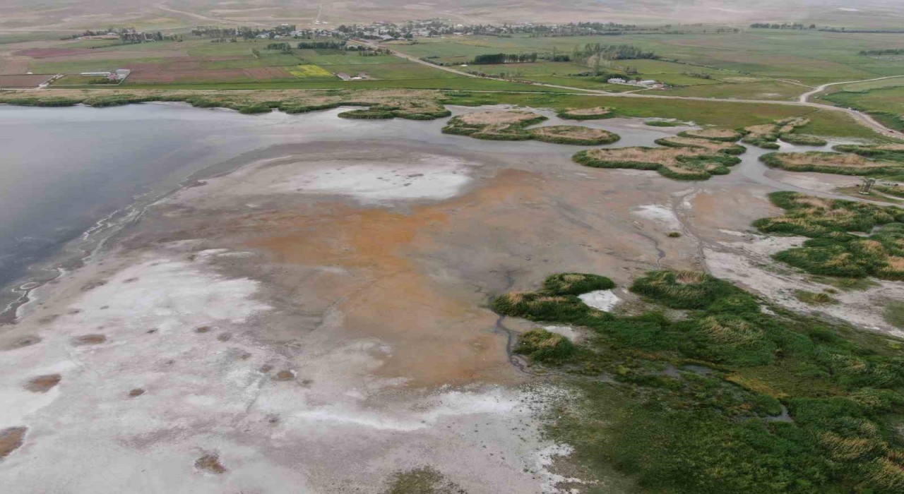Erçek Gölünün kıyıları kuruyor: Uzmanlar uyarıyor