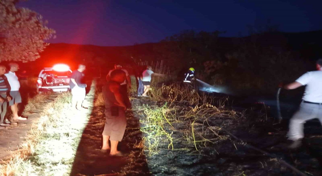 Erdekte böğürtlenlik alanda çıkan yangın söndürüldü