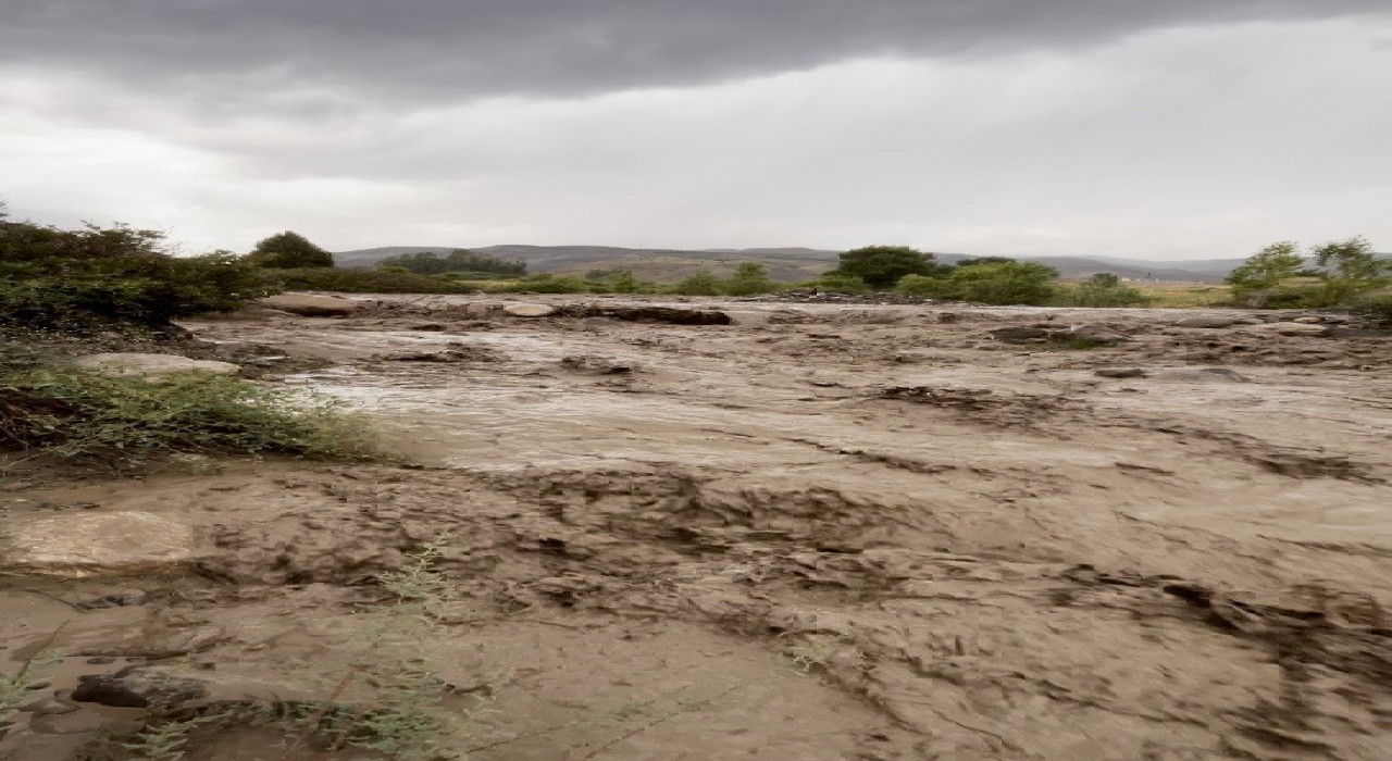 Erzincanda sağanak yağış sele dönüştü Sakaltutan mevkiinde dereler aştı