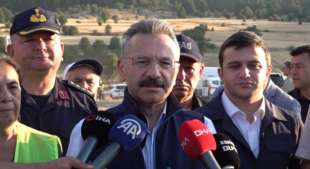 Eskişehir Valisi Aksoy: Yangında 60 hektar alan zarar gördü