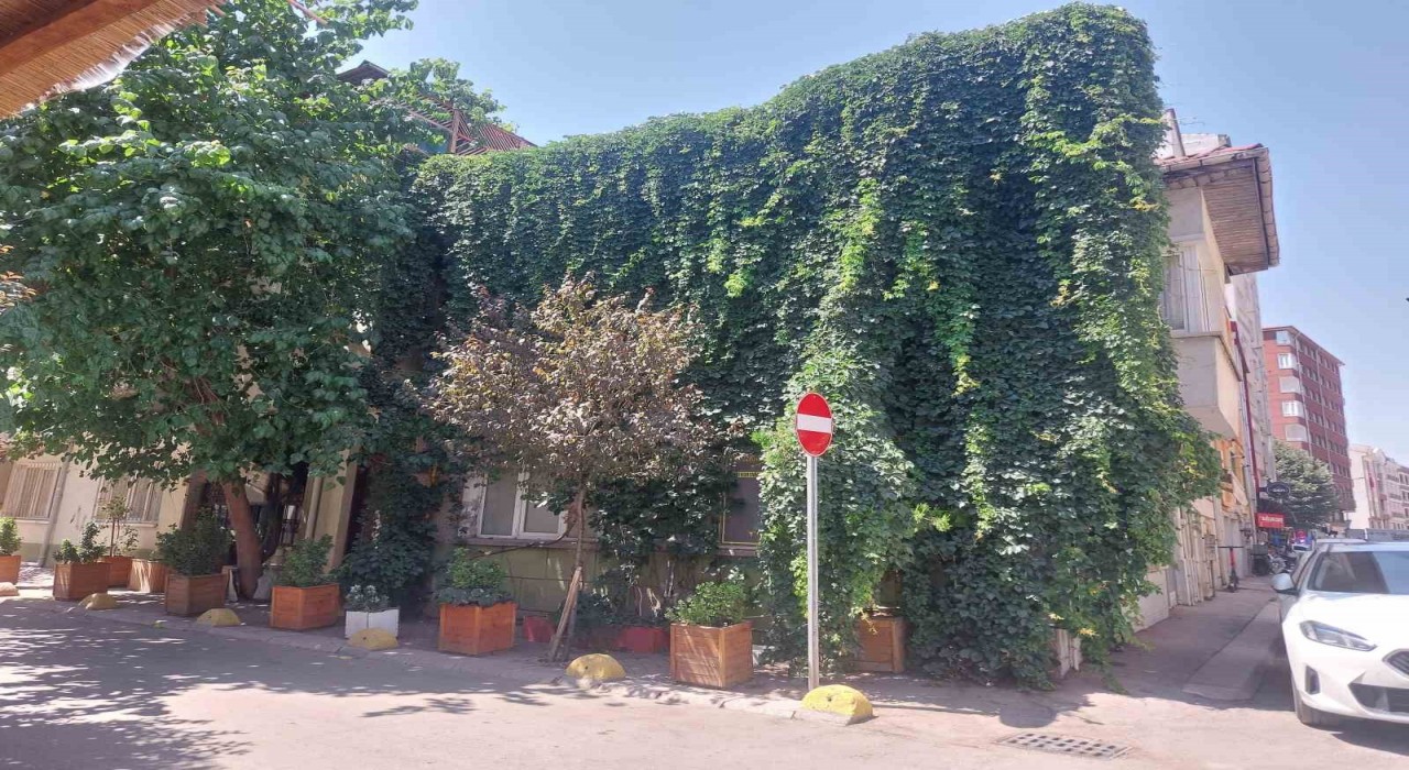 Eskişehirde doğa, evle bütünleşti