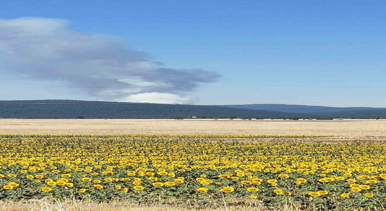 Eskişehirde orman yangını başladı
