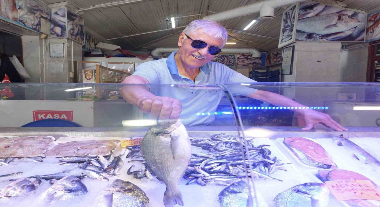 Eskişehirde sardalya ve kefalin mevsimi başladı