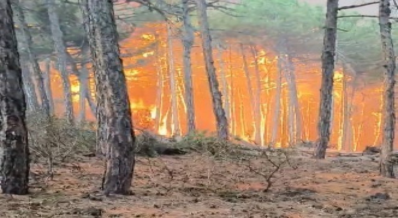 Eskişehirdeki orman yangınında 2 Denizlili ormancı şehit oldu