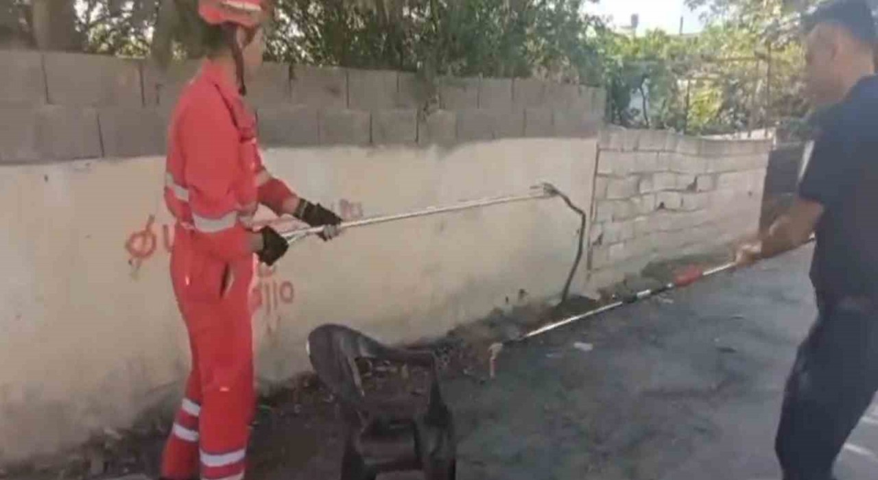 Evin bahçesine giren yılanı itfaiye yakaladı