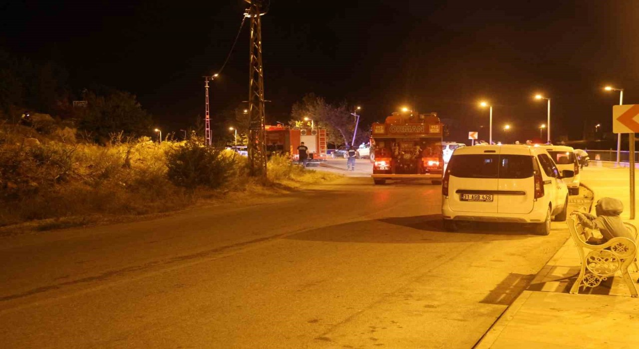 Evlilik teklifinde atılan havai fişekler ağaçlık alanda yangınına sebep oldu