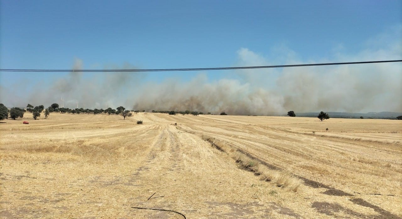 Ezinede tarım arazisinde yangın