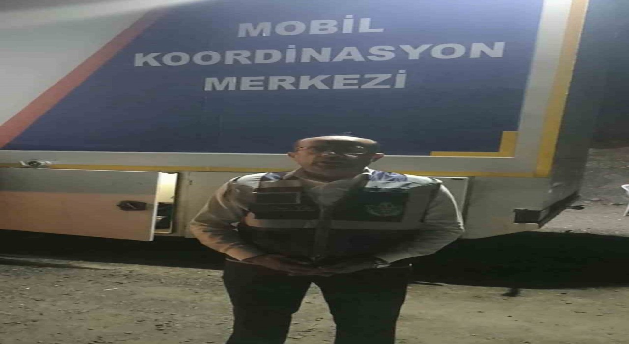 Festivalin bütçesi, ormanları yeşillendirecek