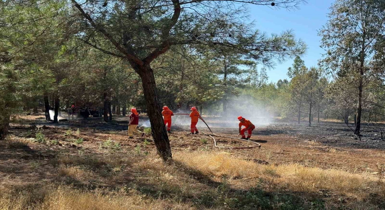 Fethiyedeki yangının etrafı çevrildi