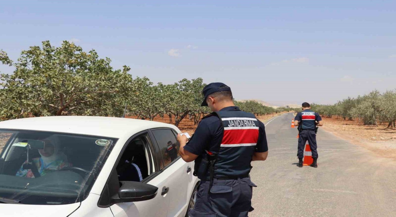 Fıstık hırsızlığına karşı jandarmadan sıkı denetim