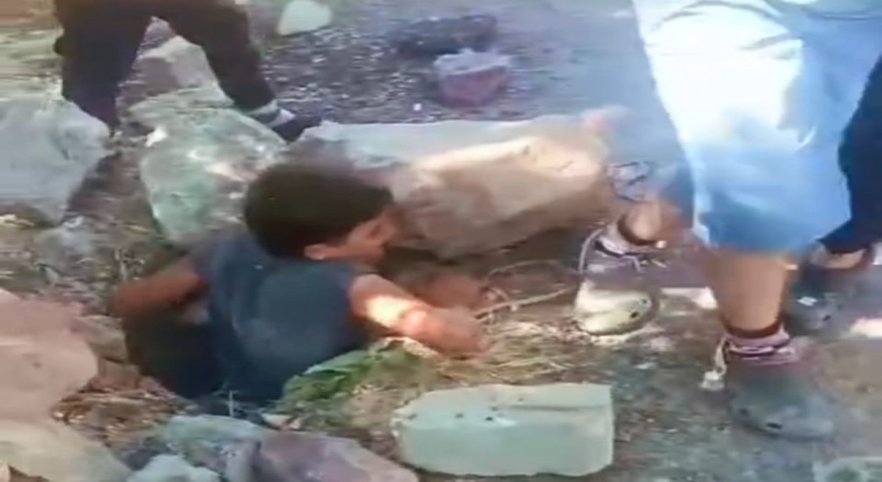 Foseptik çukuruna düşen minik kediyi çocuklar kurtardı