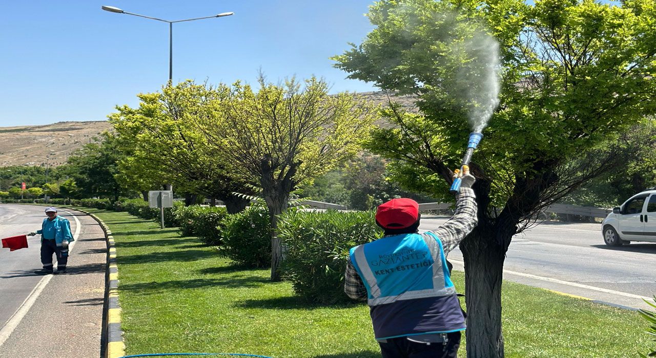 Gaziantep Büyükşehir’den Kene ve Haşerelere Karşı Yoğun İlaçlama Seferberliği