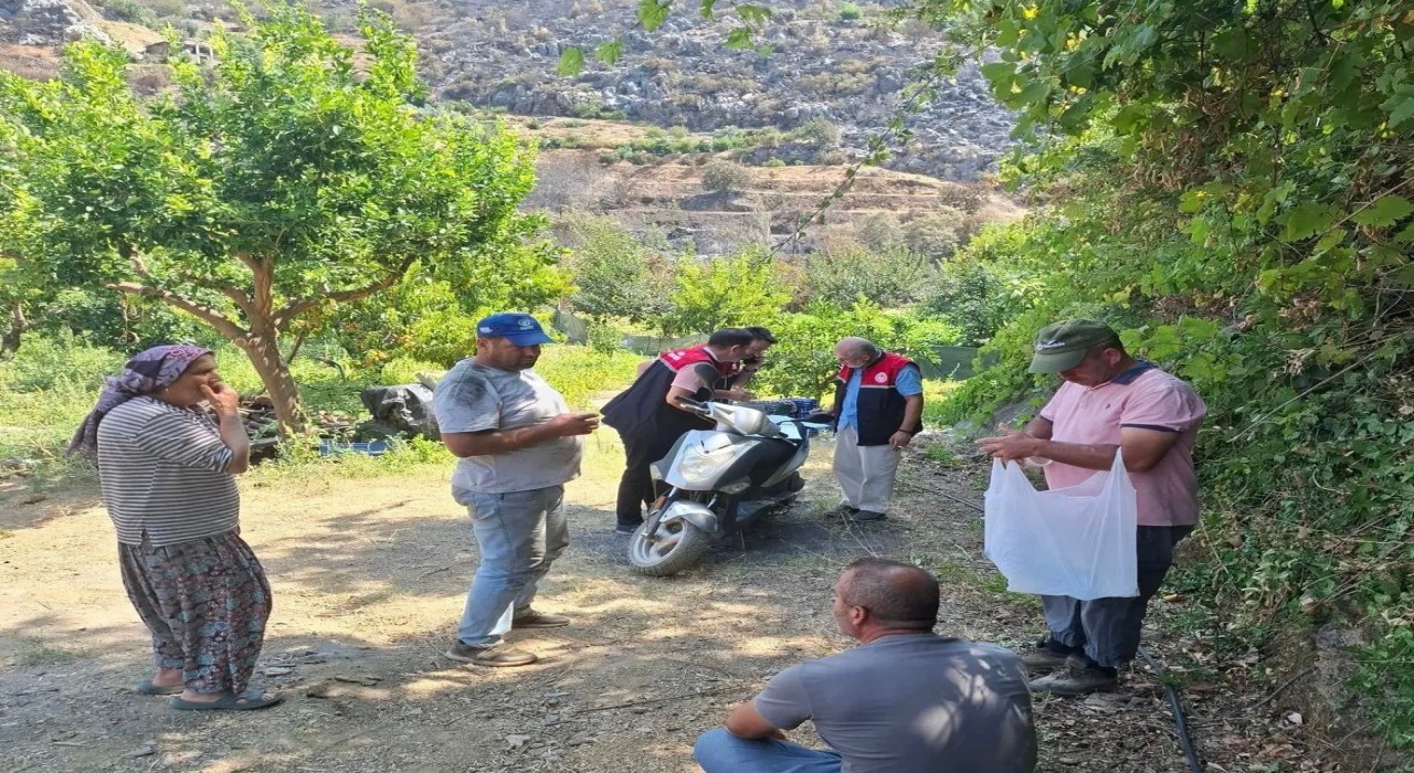 Gazipaşada yangın mağduru üreticilerin hasarı tespit edildi