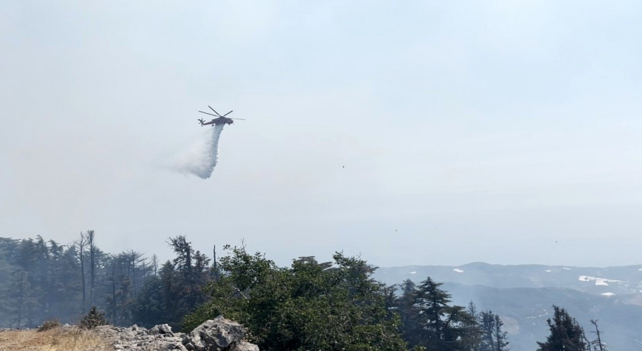 Gazipaşadaki orman yangını 3. gününde kontrol altına alındı