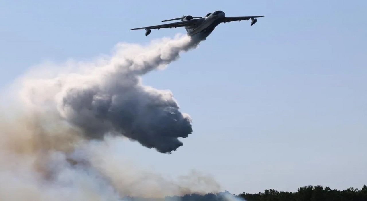Gebzede çıkan orman yangını kontrol altına alındı