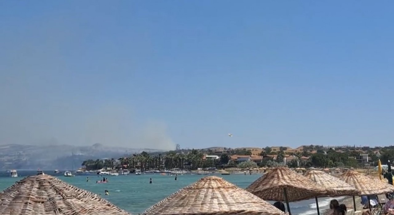 Geliboluda tarım arazisinde yangın