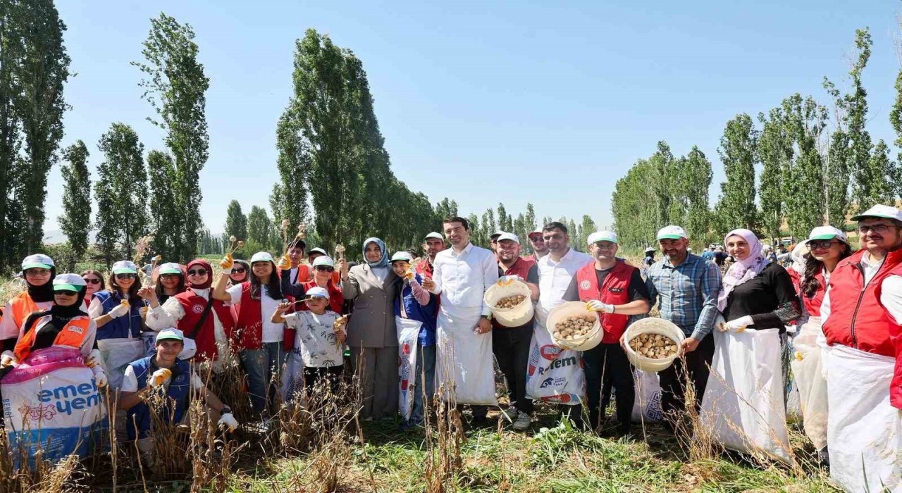 Gençler hasat etkinliği ile üretim süreçlerini yakından deneyimliyor