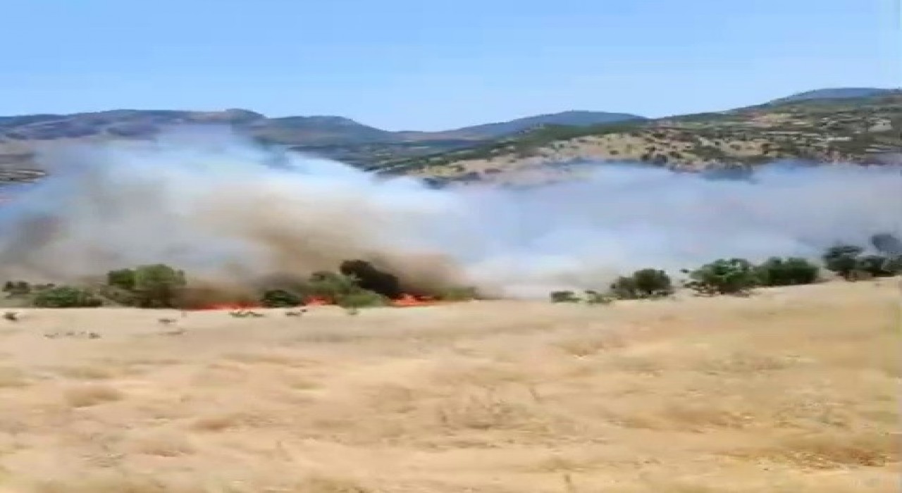 Gergerde korkutan orman yangını