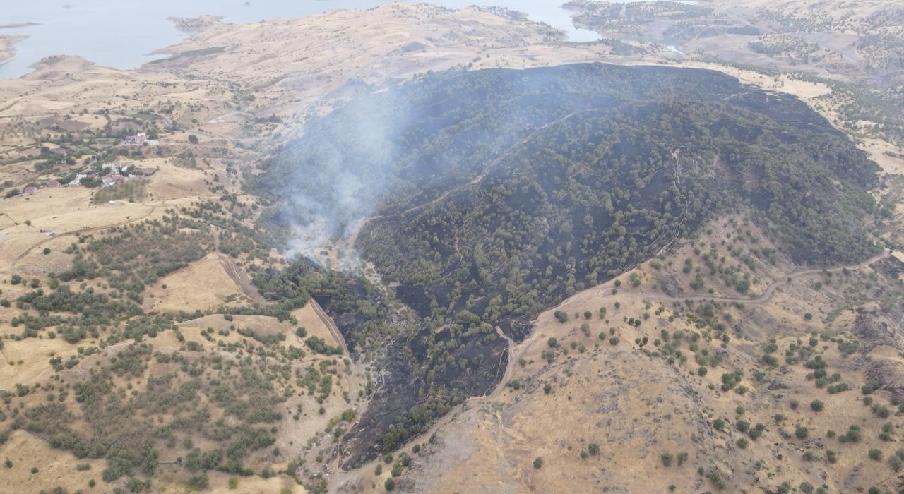 Gergerdeki orman yangını söndürüldü