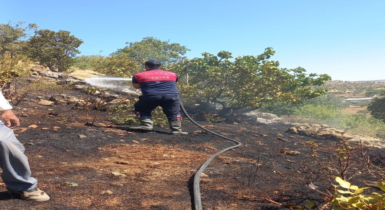 Gölbaşında ormanlık alan yandı