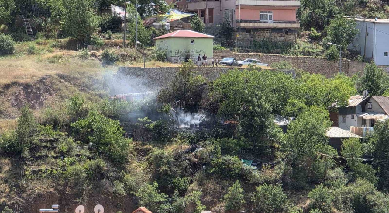 Gümüşhanede bahçede yakılan ateş yangına neden oldu