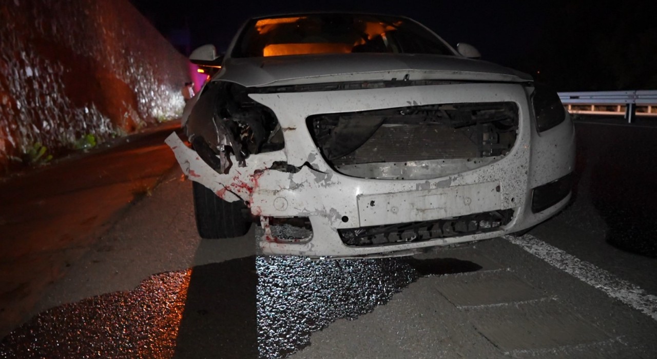 Gümüşhanede otomobilin çarptığı ayı telef oldu