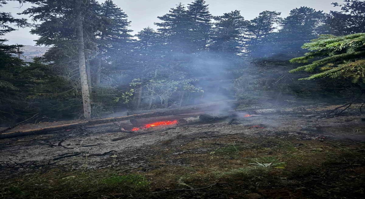 Gümüşhanedeki orman yangını söndürüldü
