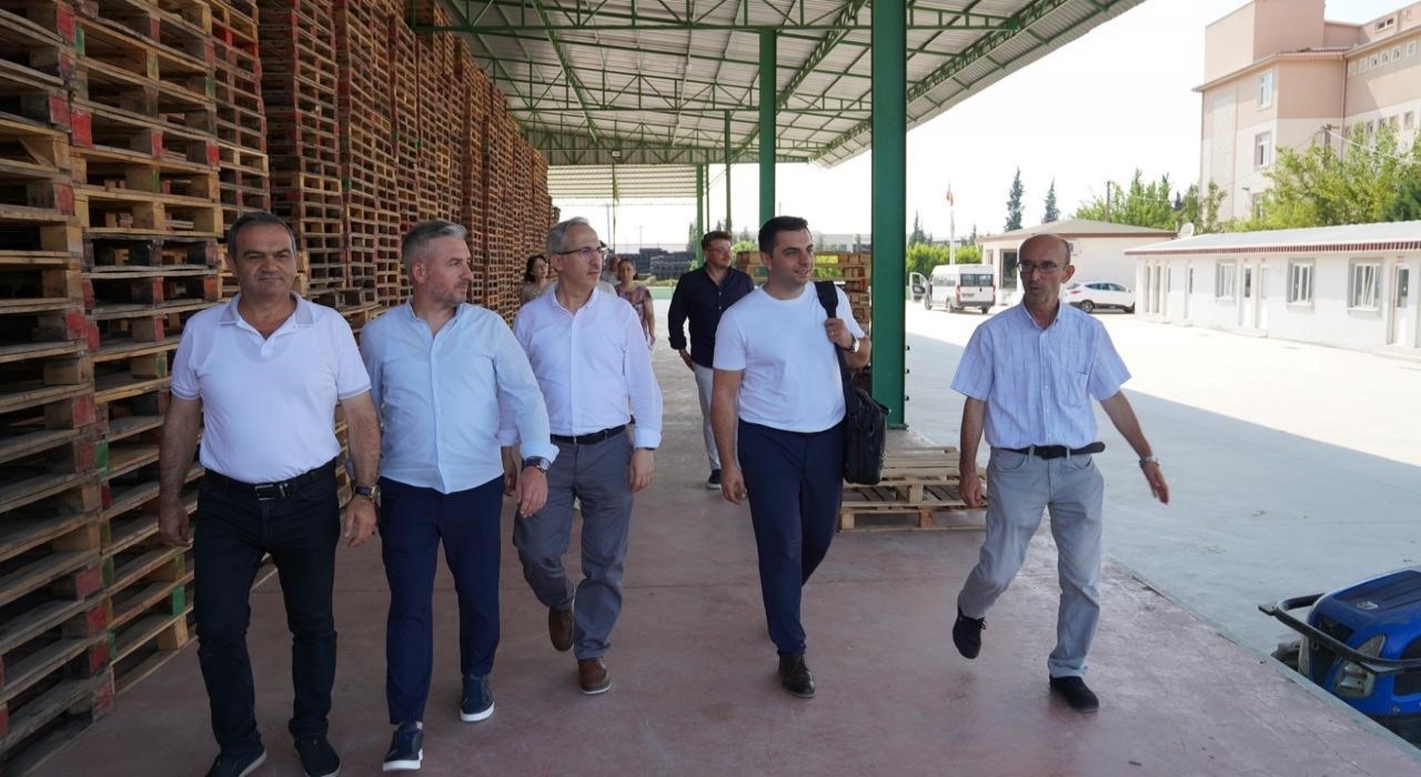 Gürsuda yeşil dönüşüm başladı