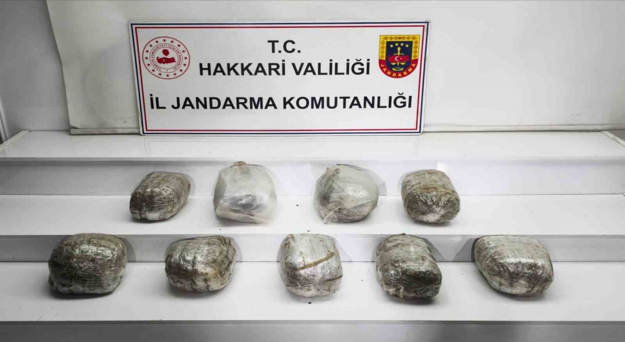 Hakkaride 14 kilo skunk maddesi ele geçirildi