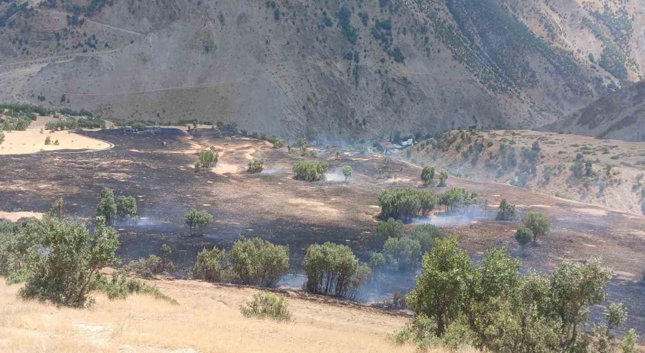 Hakkaride anız yangını