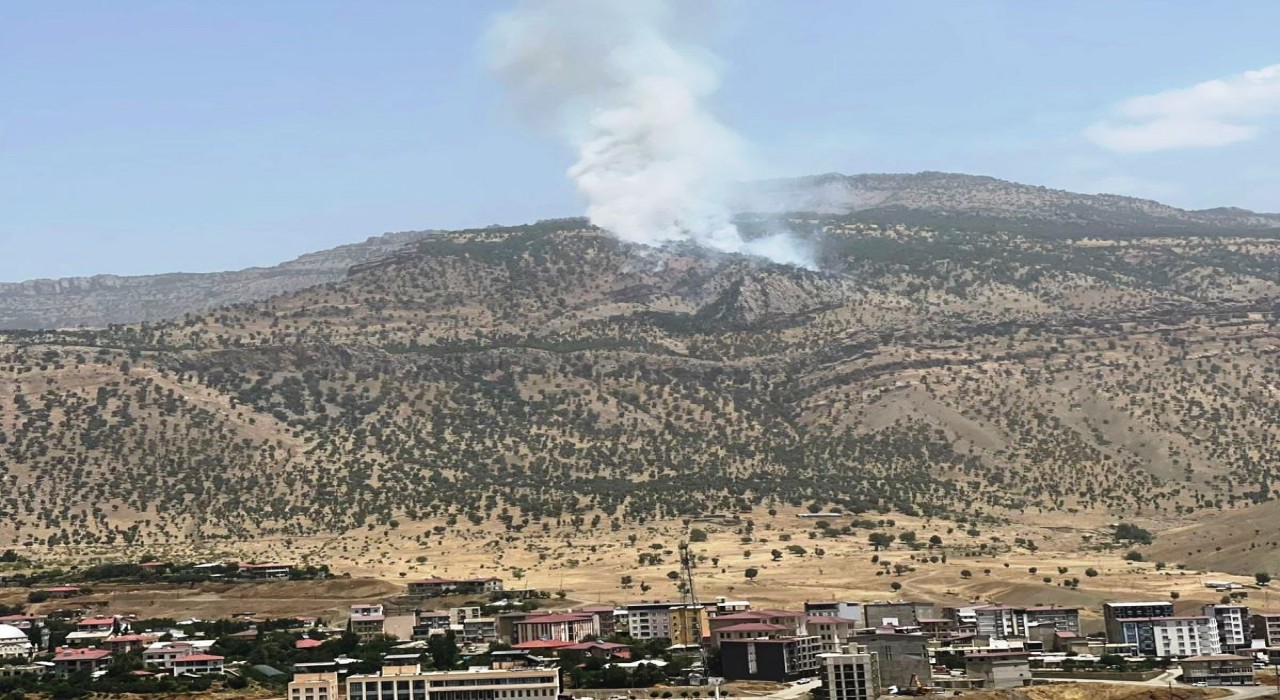 Hakkaride orman yangını