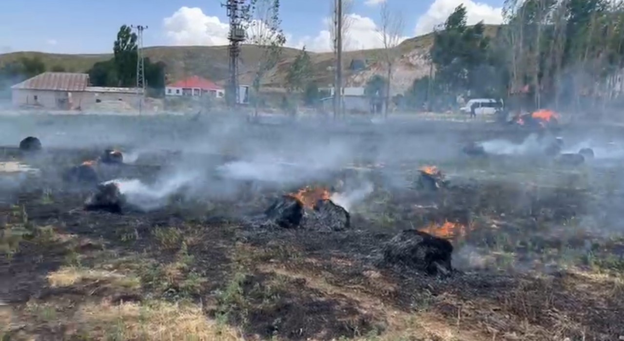 Hakkaride yaklaşık bin 500 bağ ot kül oldu