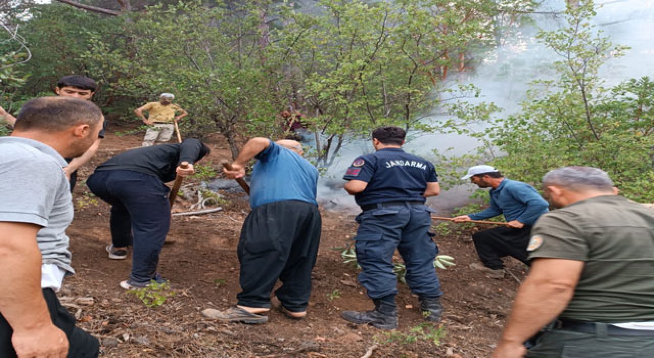 Hasanbeyli’de Çıkan Orman Yangını Kontrol Altına Alındı